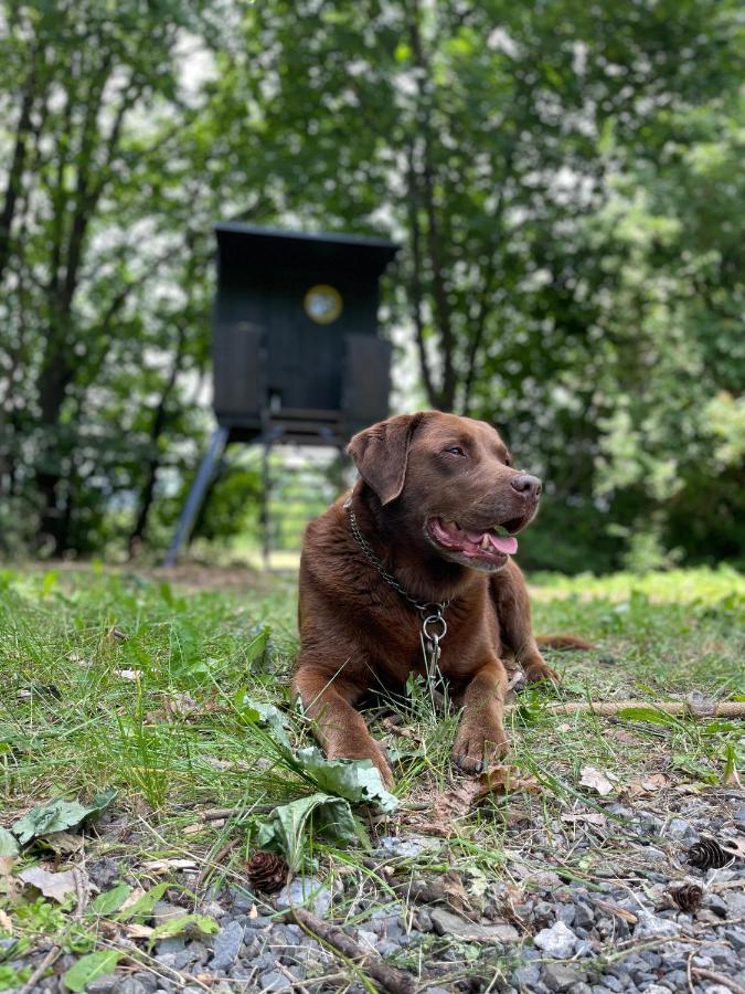 Posed V Beskydech Luxury tent